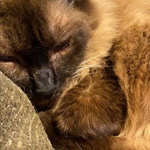 Meet your Posher, Patrick